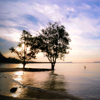 网站ddos隐藏源ip