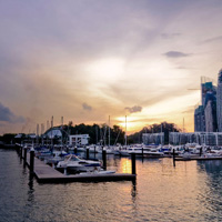 可爱的手机攻击器APP下载