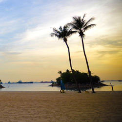 手机攻击器APP下载