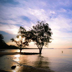 DDOS在线攻击平台